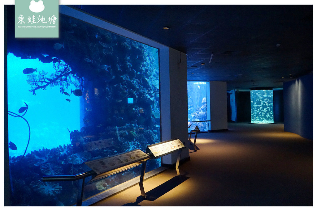 【屏東必訪親子景點推薦】海洋生物主題大型博物館 國立海洋生物博物館-海生館