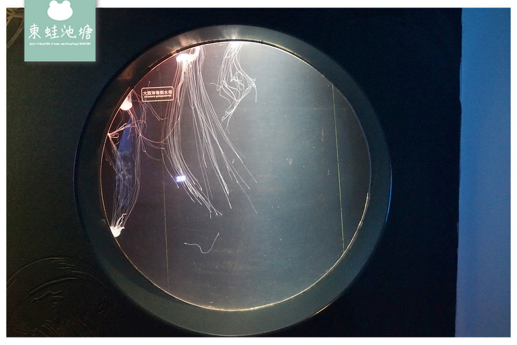 【屏東必訪親子景點推薦】海洋生物主題大型博物館 國立海洋生物博物館-海生館