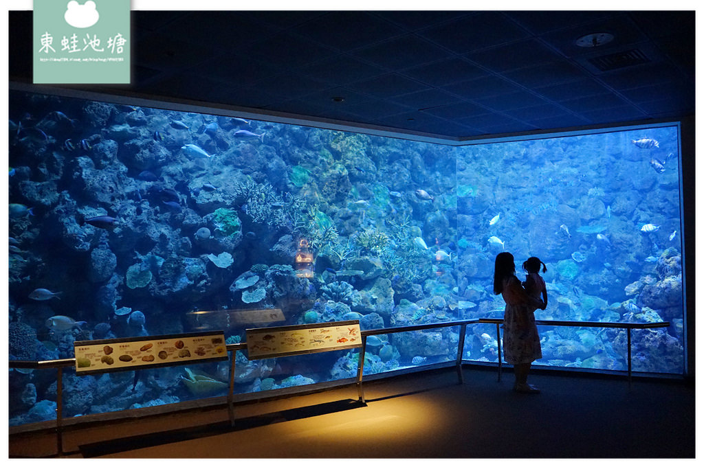 【屏東必訪親子景點推薦】海洋生物主題大型博物館 國立海洋生物博物館-海生館