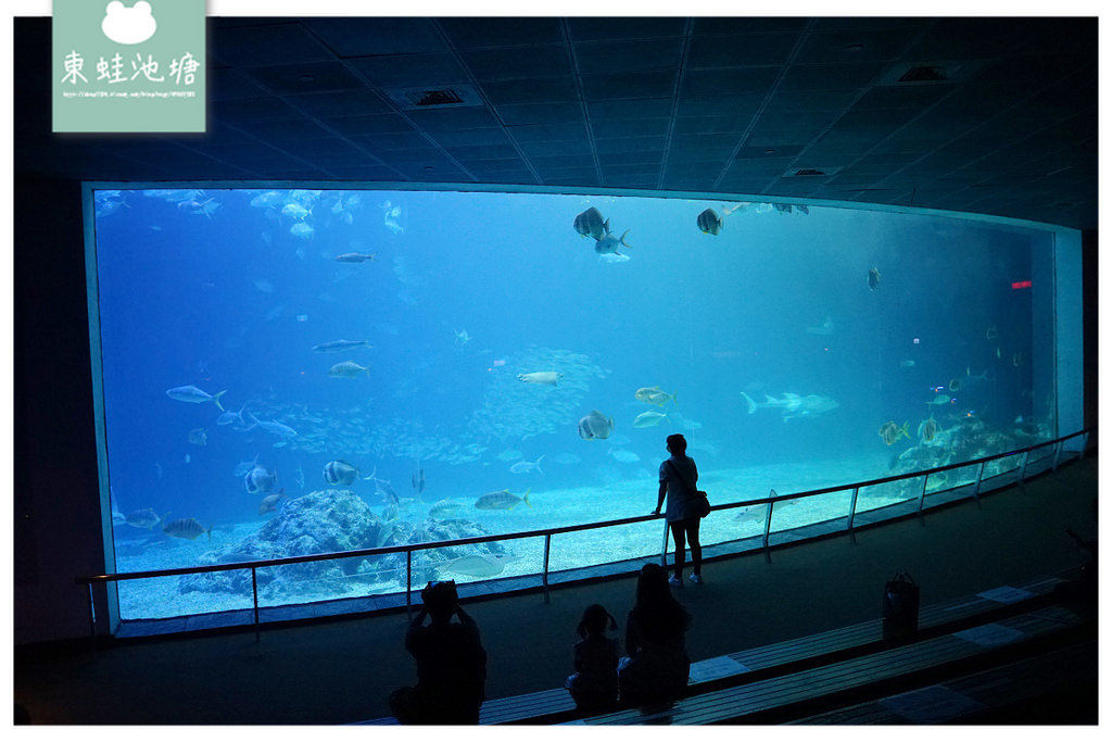 【屏東必訪親子景點推薦】海洋生物主題大型博物館 國立海洋生物博物館-海生館