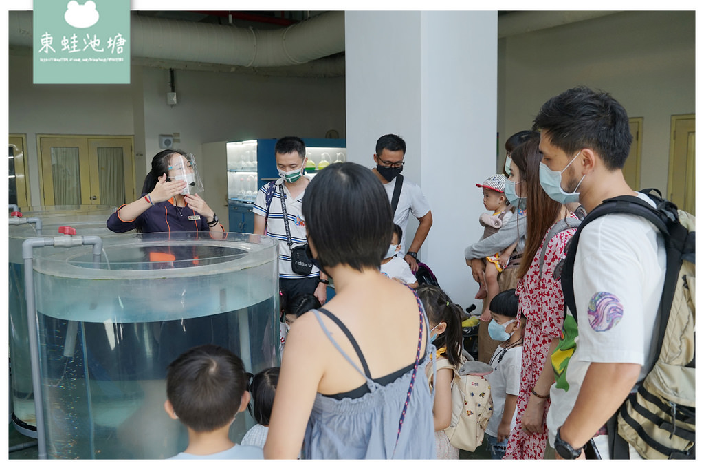 【屏東必訪親子景點推薦】海洋生物主題大型博物館 國立海洋生物博物館-海生館