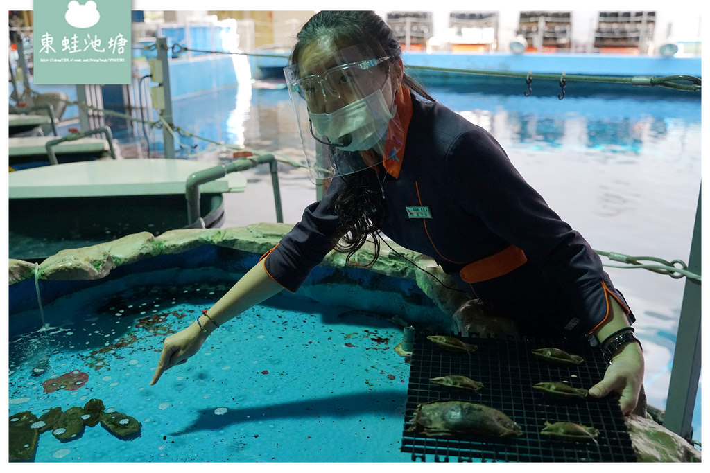 【屏東必訪親子景點推薦】海洋生物主題大型博物館 國立海洋生物博物館-海生館