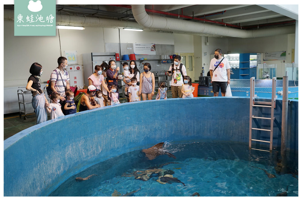 【屏東必訪親子景點推薦】海洋生物主題大型博物館 國立海洋生物博物館-海生館