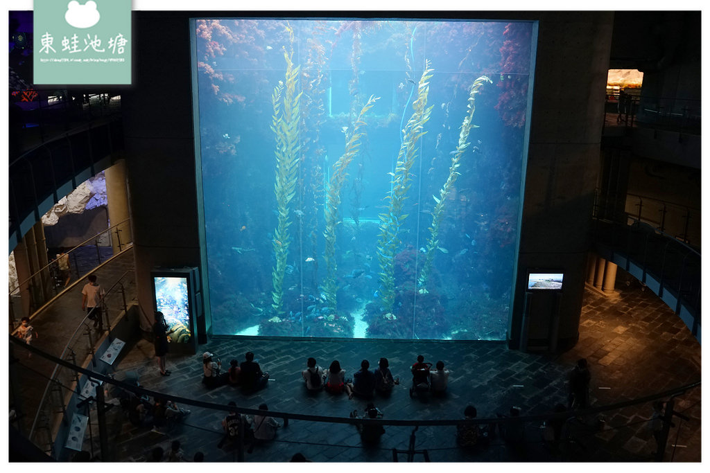 【屏東必訪親子景點推薦】海洋生物主題大型博物館 國立海洋生物博物館-海生館