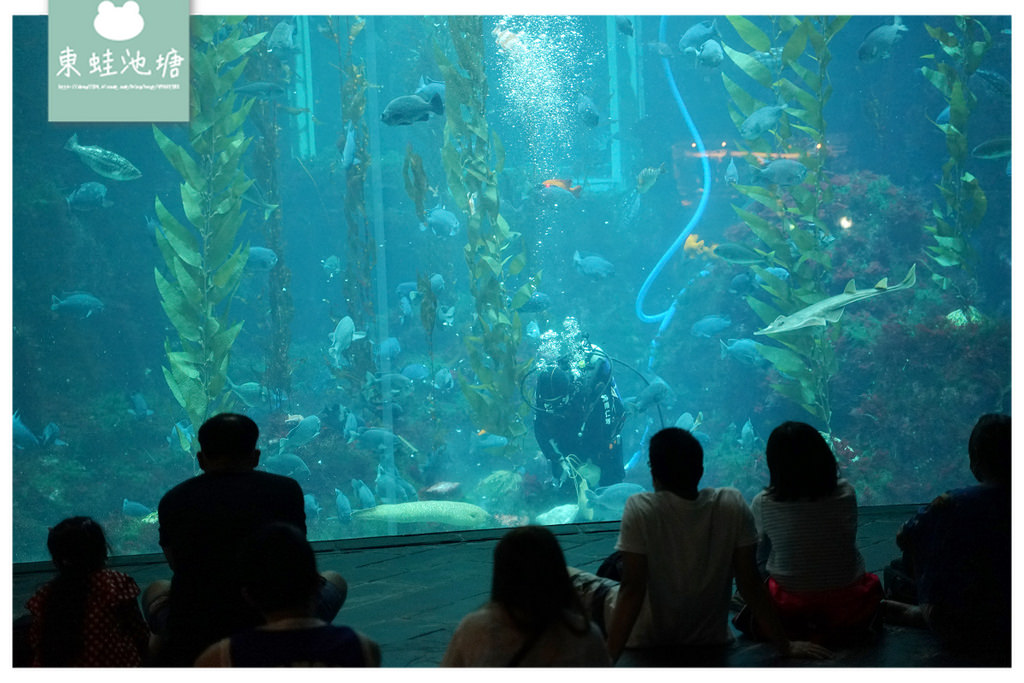 【屏東必訪親子景點推薦】海洋生物主題大型博物館 國立海洋生物博物館-海生館