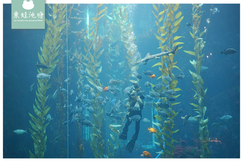 【屏東必訪親子景點推薦】海洋生物主題大型博物館 國立海洋生物博物館-海生館