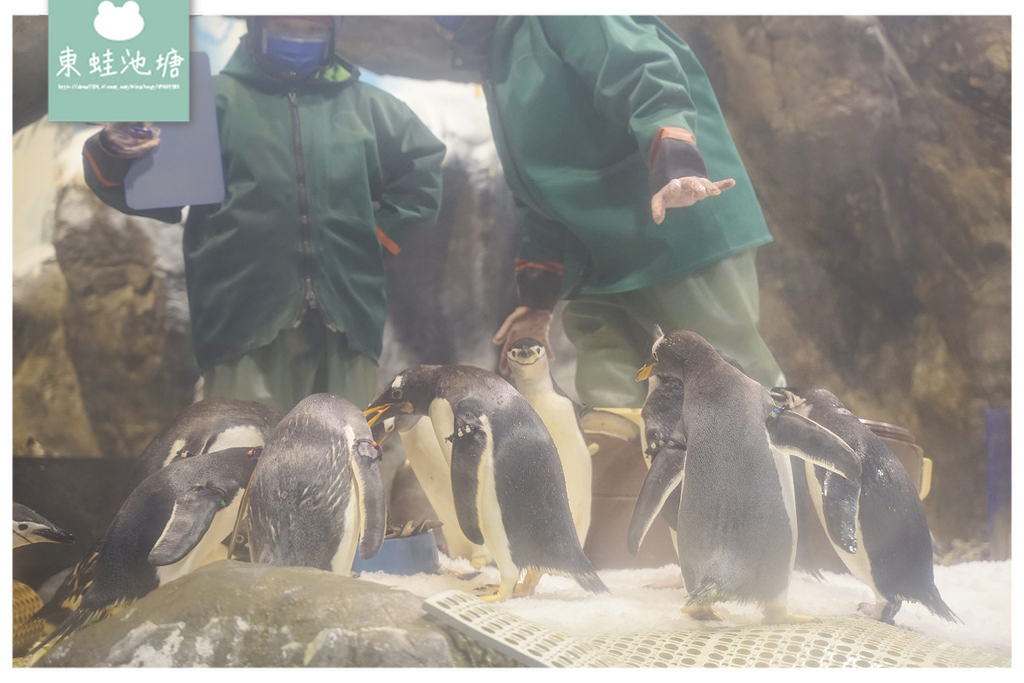 【屏東必訪親子景點推薦】海洋生物主題大型博物館 國立海洋生物博物館-海生館