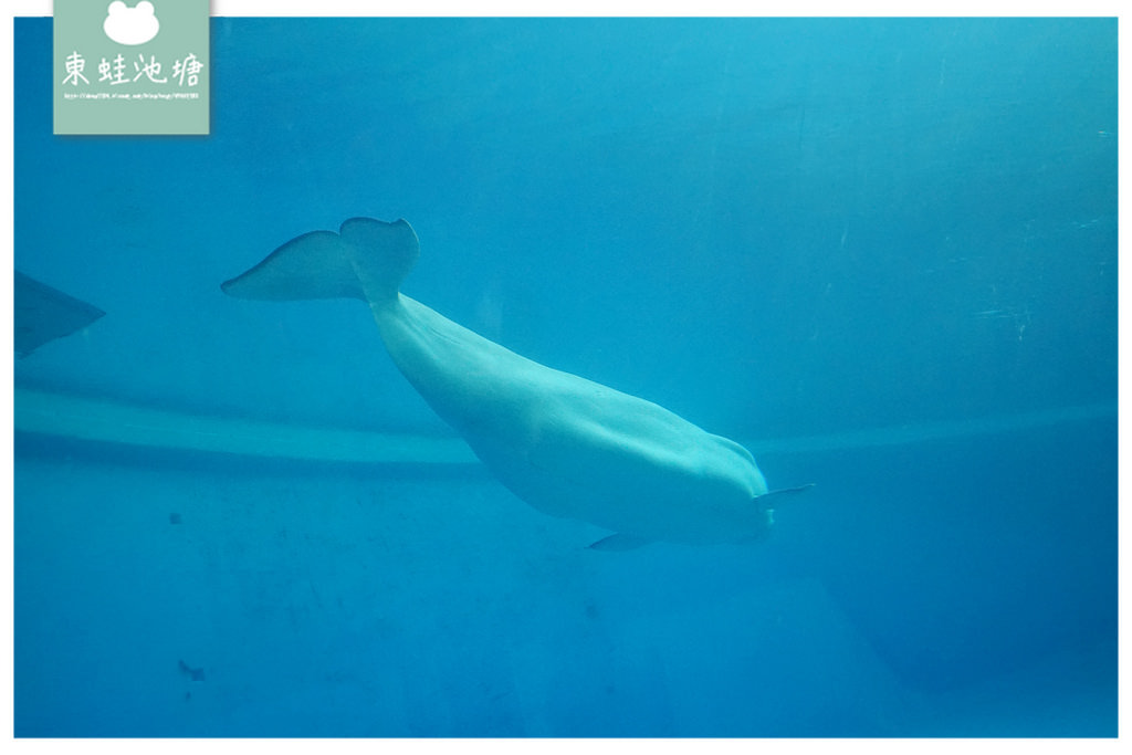 【屏東必訪親子景點推薦】海洋生物主題大型博物館 國立海洋生物博物館-海生館