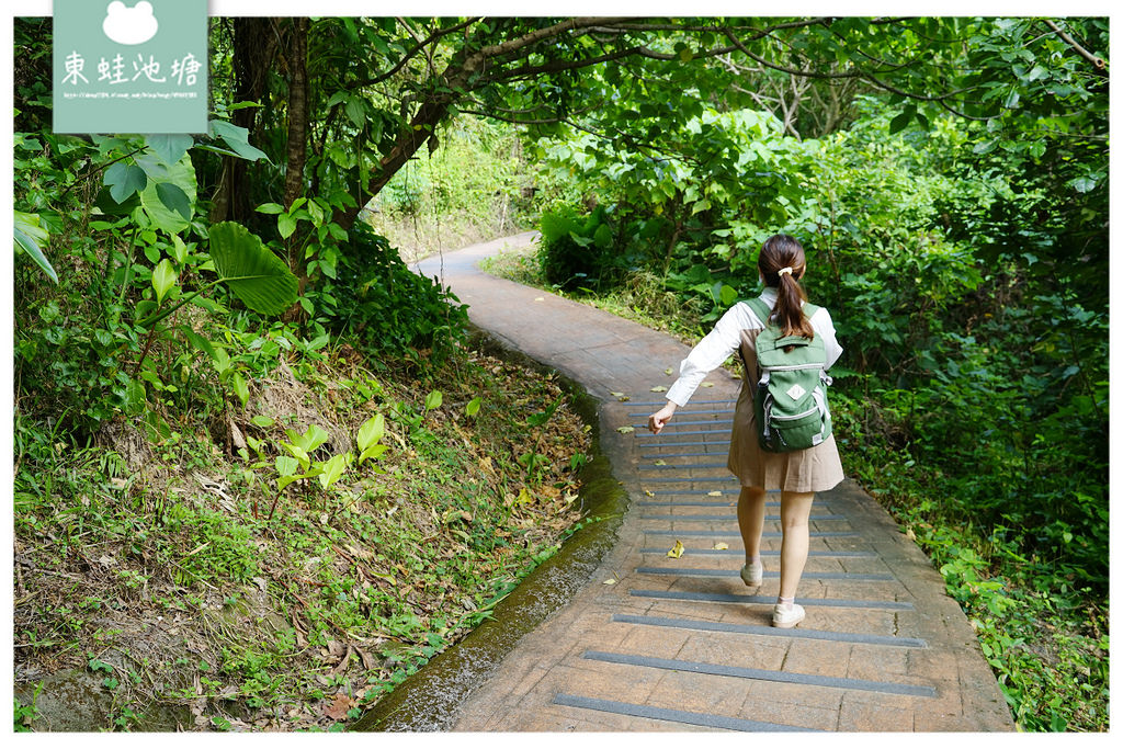 【台北大直免費景點推薦】生機盎然綠蔭廊道 自然休閒步道 雞南山自然園區