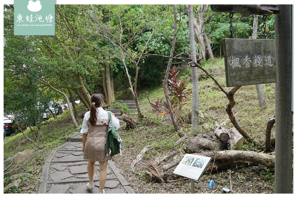 【台北大直免費景點推薦】生機盎然綠蔭廊道 自然休閒步道 雞南山自然園區