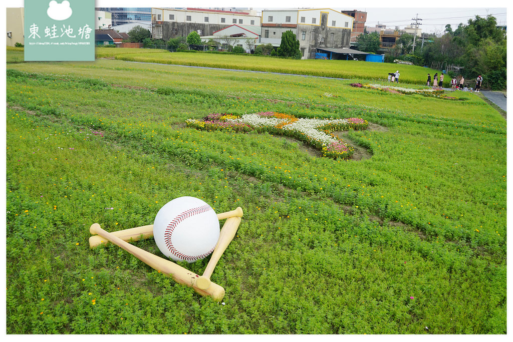 【2021桃園花彩節】Hello野球趣平鎮展區 普羅旺斯花海/平鎮富良野花海/向日葵迷宮區