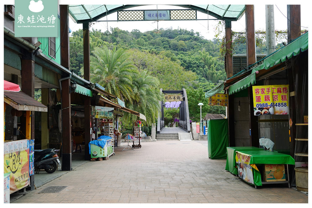 【台中石岡打卡新景點】紫見石岡浪漫花漾園區 遠東地區跨距最長景觀木橋 台中石岡情人木橋