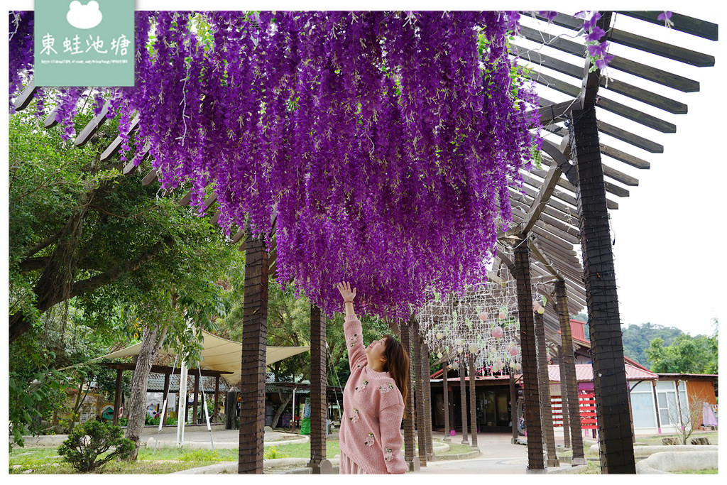 【台中石岡打卡新景點】紫見石岡浪漫花漾園區 遠東地區跨距最長景觀木橋 台中石岡情人木橋