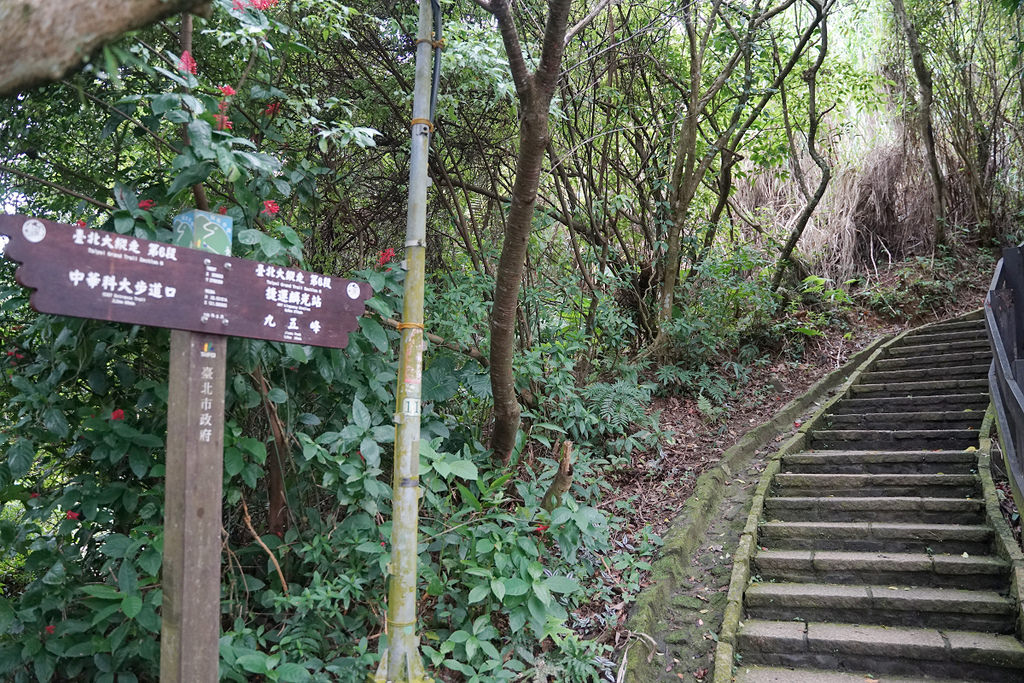 【臺北大縱走 taipei grand Trail 第六段】全長10公里 耗時6小時 你敢來挑戰嗎？