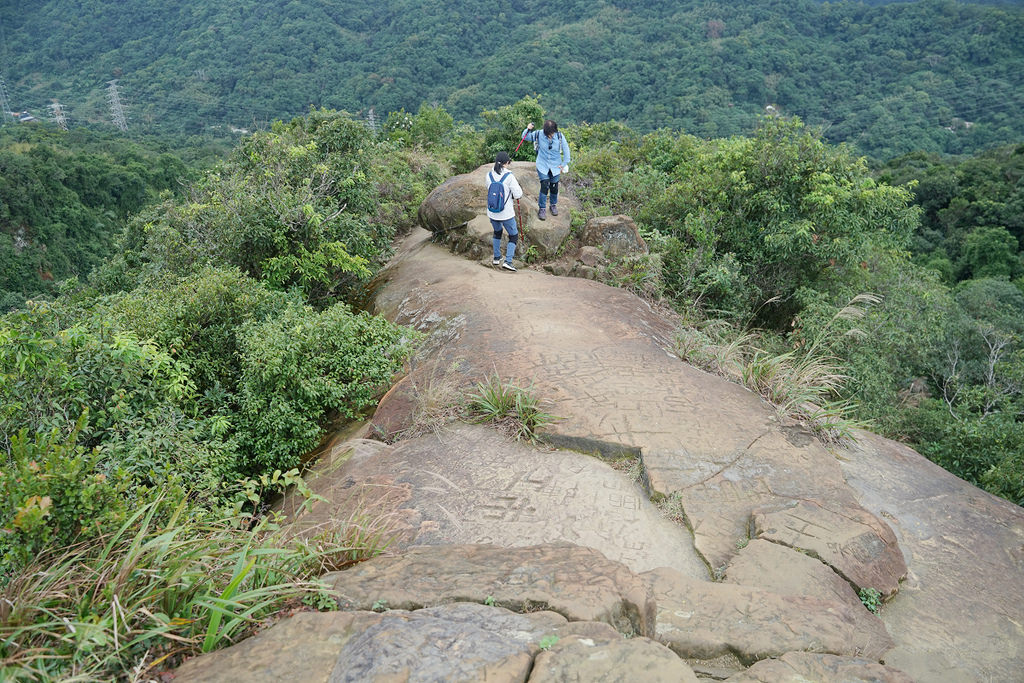 【臺北大縱走 taipei grand Trail 第六段】全長10公里 耗時6小時 你敢來挑戰嗎？