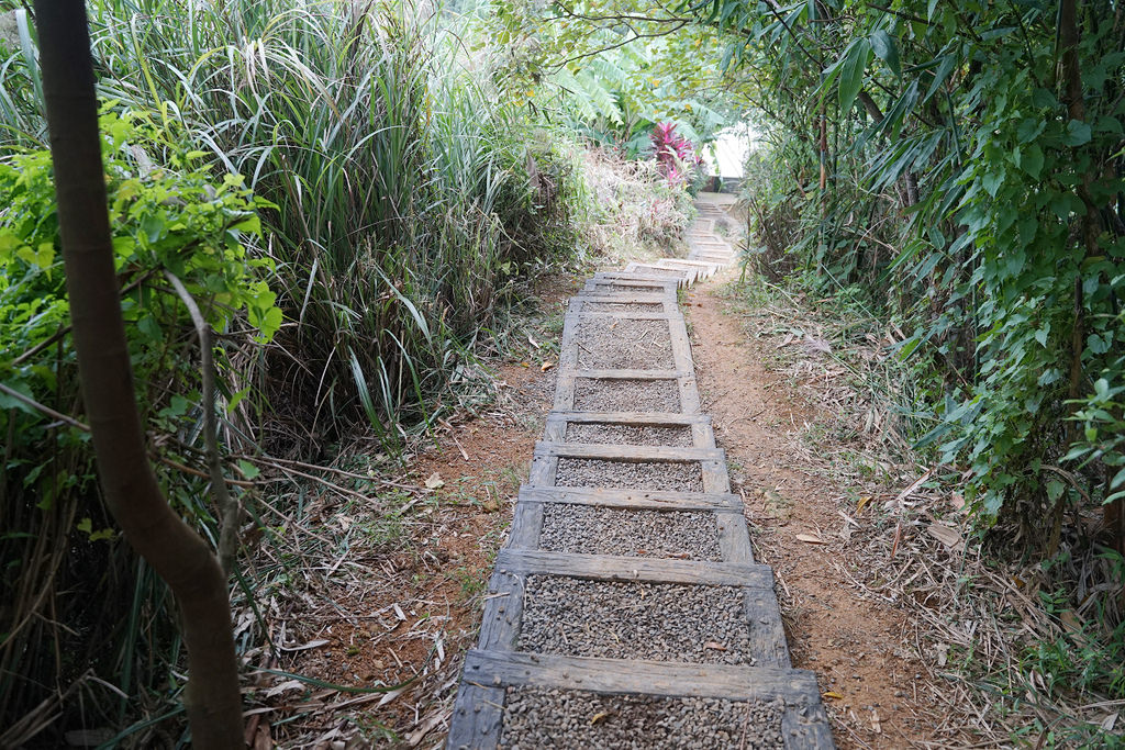 【臺北大縱走 taipei grand Trail 第六段】全長10公里 耗時6小時 你敢來挑戰嗎？