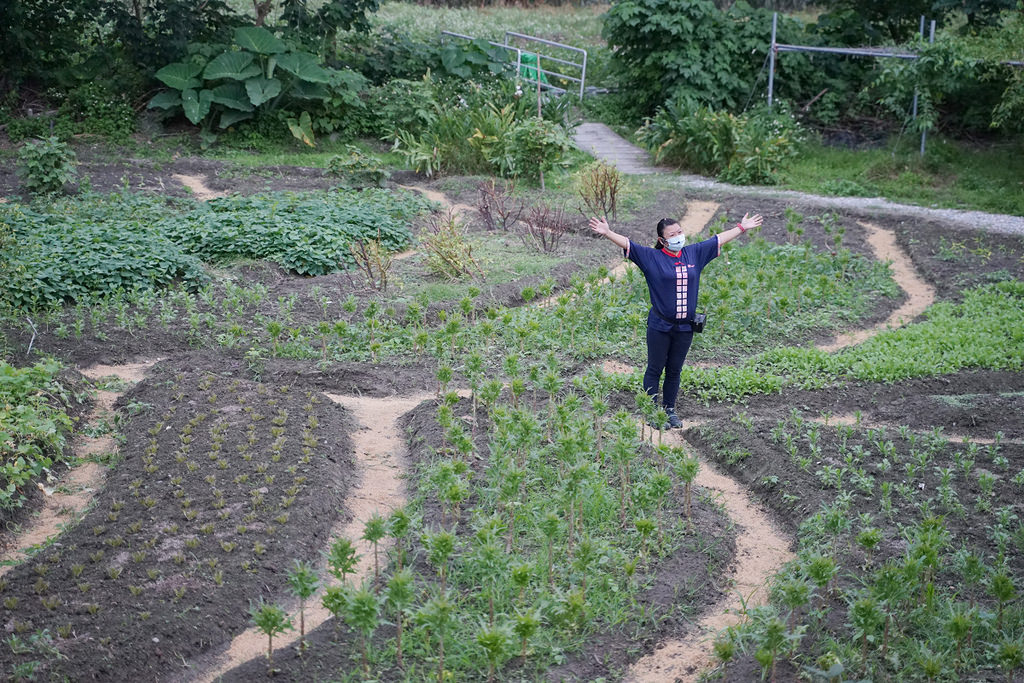【花蓮必吃美食推薦】必吃九品蓮花鍋 花蓮在地野菜吃到飽 櫻の田野休閒養生館