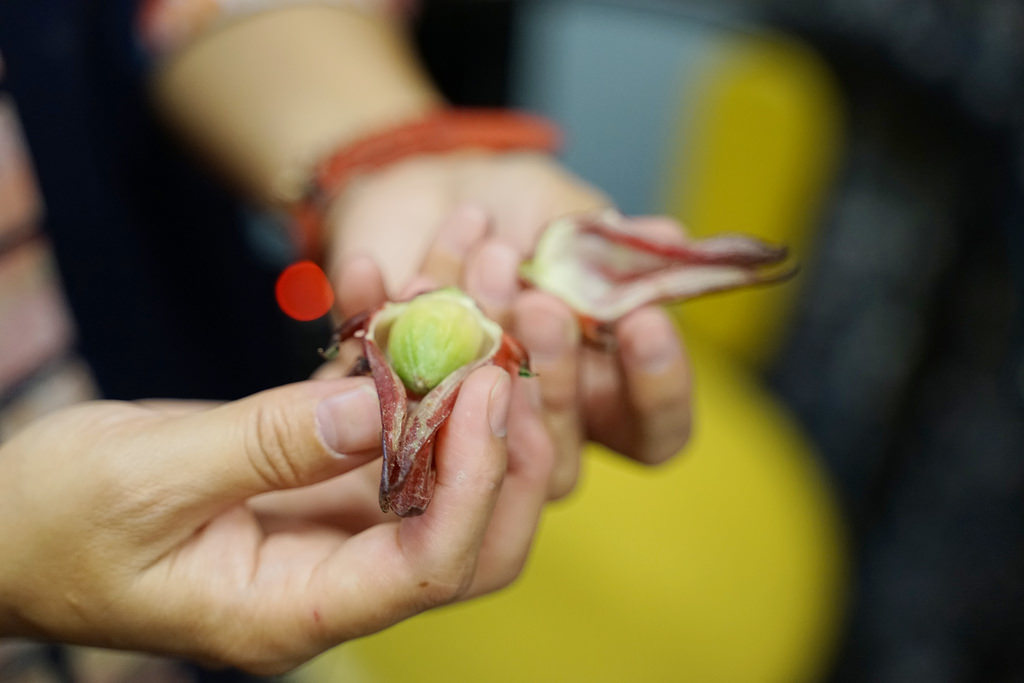 【花蓮必吃美食推薦】必吃九品蓮花鍋 花蓮在地野菜吃到飽 櫻の田野休閒養生館