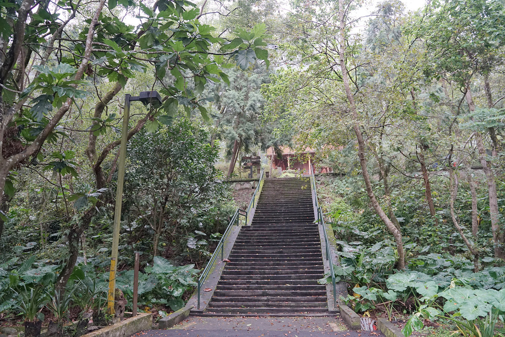 【花蓮鳳林免費景點推薦】臺灣第四大林場 日式檜木建築群 林田山林業文化園區