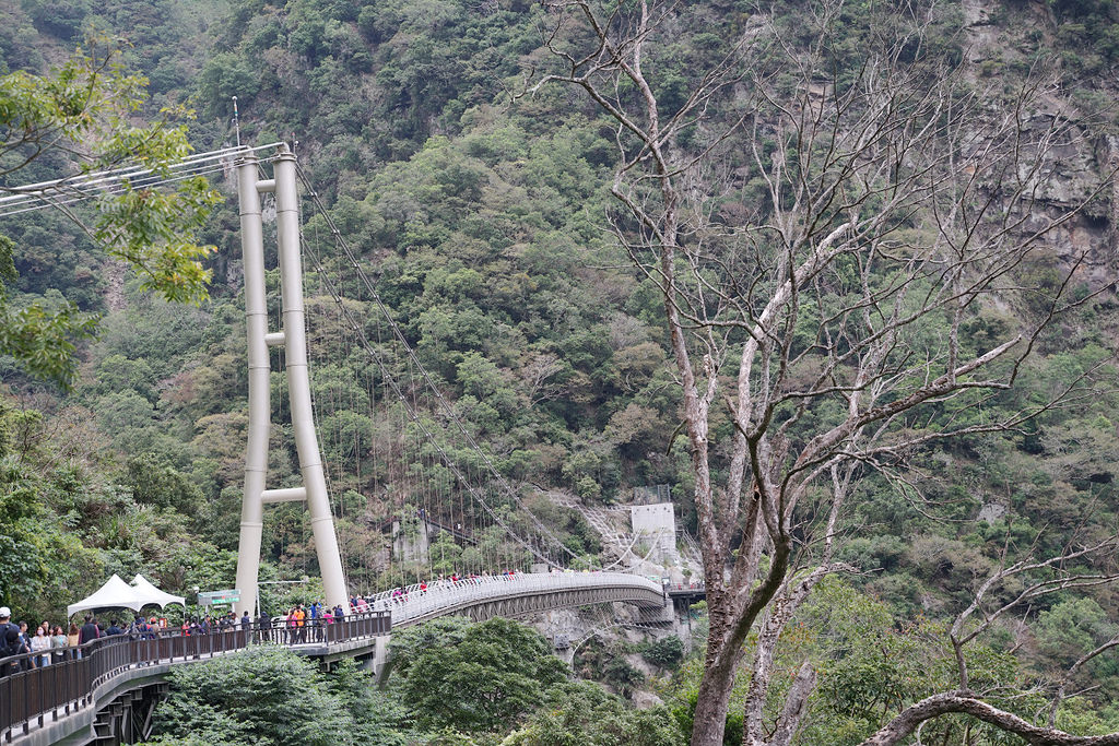 【花蓮太魯閣必訪景點】臺灣跨深最高吊橋 免收費網路預約申請介紹 布洛灣山月吊橋