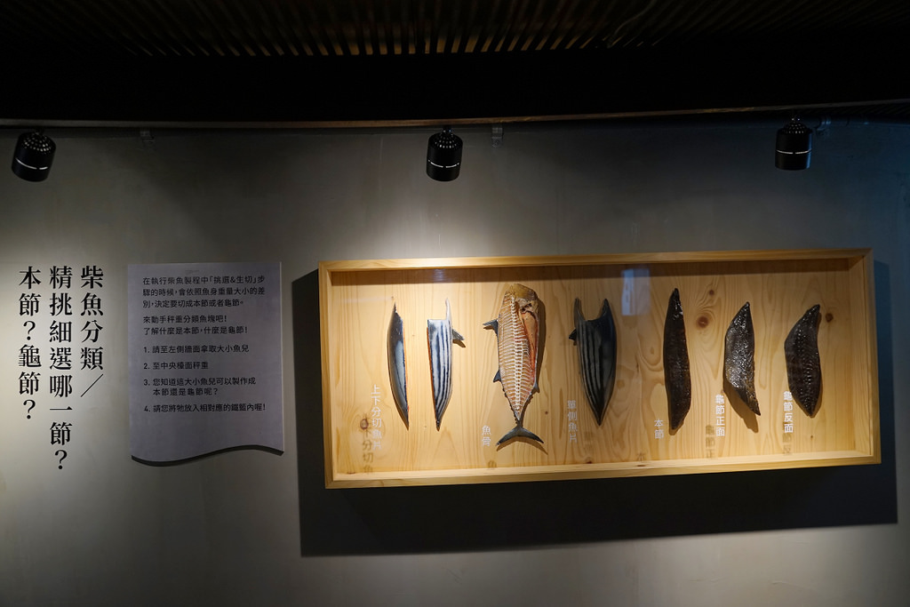 【花蓮免費景點推薦】整合花蓮在地海洋生態教育與黑金產業文化 七星柴魚博物館