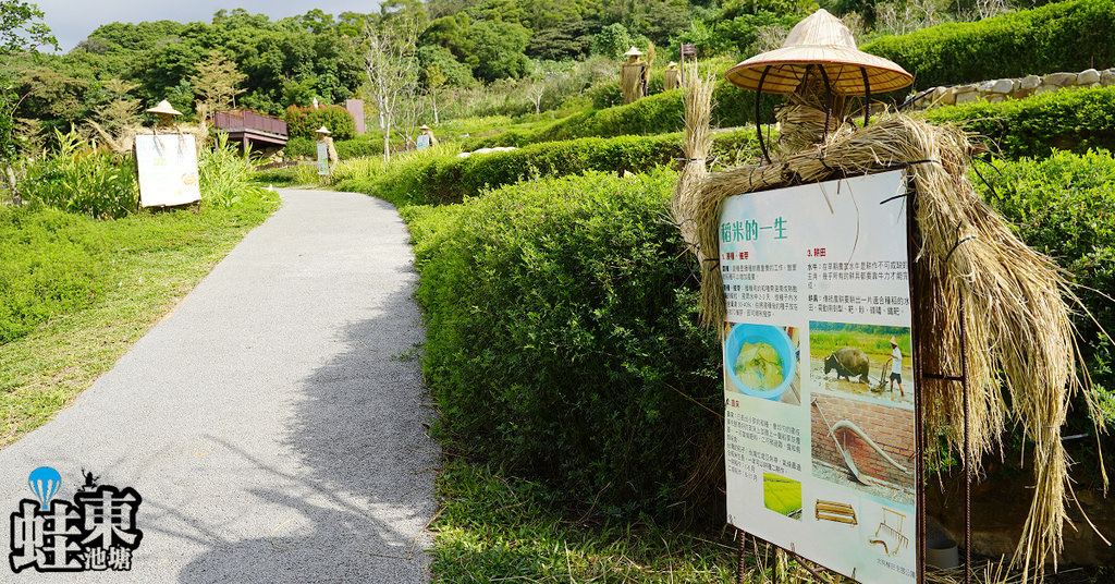 【桃園免費景點推薦】大檜溪農村聚落梯田生態復育 磨石子溜滑梯綜合遊憩區 大有梯田生態公園