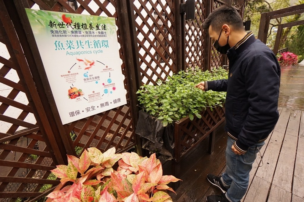 【花蓮鯉魚潭民宿推薦】花蓮螢火蟲住宿/親子友善民宿好選擇 潭心閣