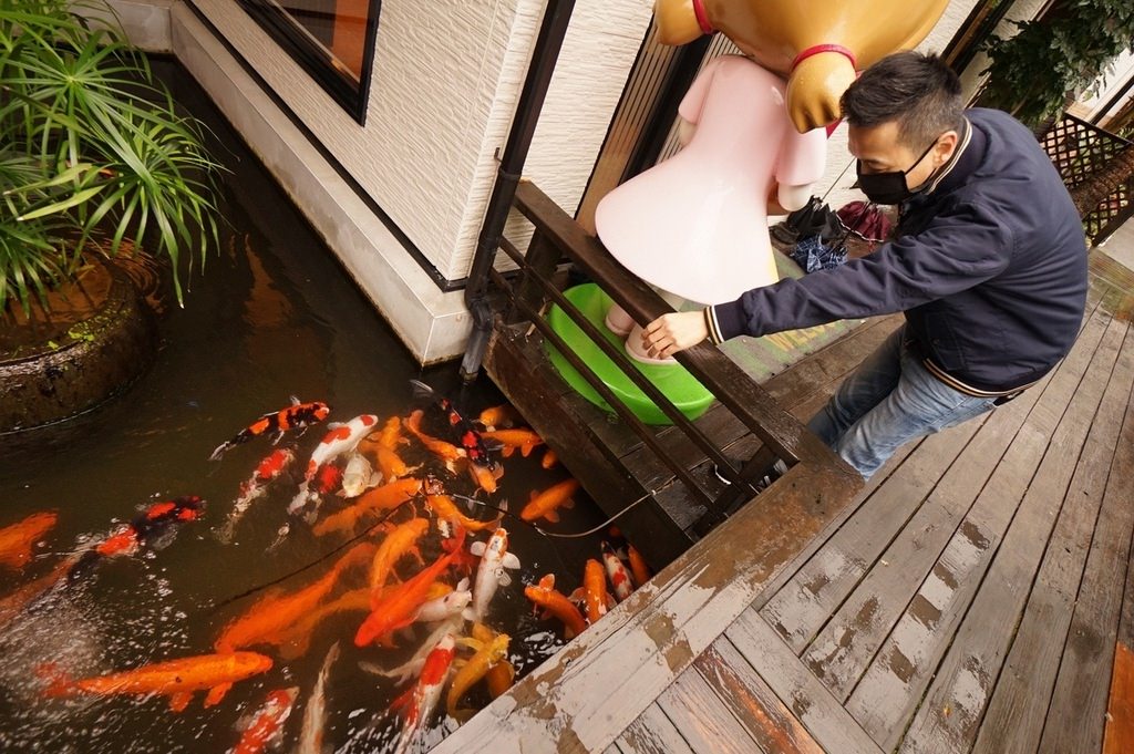 【花蓮鯉魚潭民宿推薦】花蓮螢火蟲住宿/親子友善民宿好選擇 潭心閣