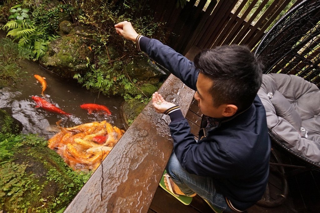 【花蓮鯉魚潭民宿推薦】花蓮螢火蟲住宿/親子友善民宿好選擇 潭心閣