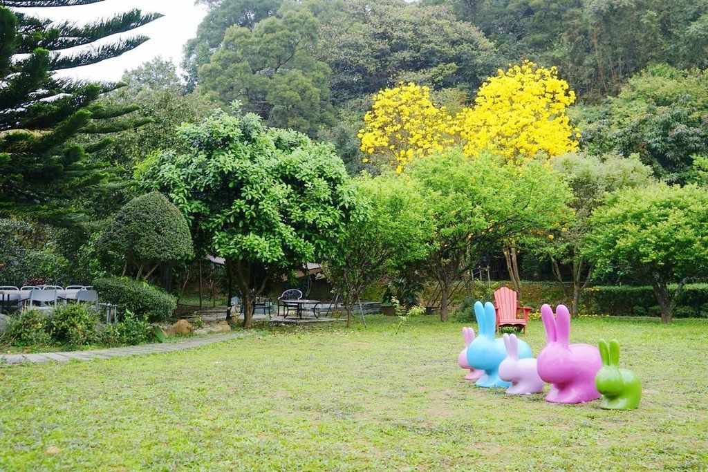 【三芝櫻花季賞櫻秘境推薦】八重櫻+紫藤花+杜鵑花盛開 小馬貝菈吃下午餐 三芝三生步道