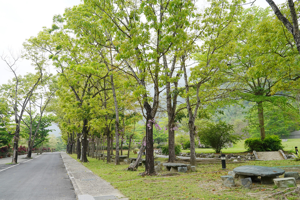 【曾文水庫親子景點】親水遊憩/體能訓練/賞鳥觀景 曾文水庫溪畔遊樂區