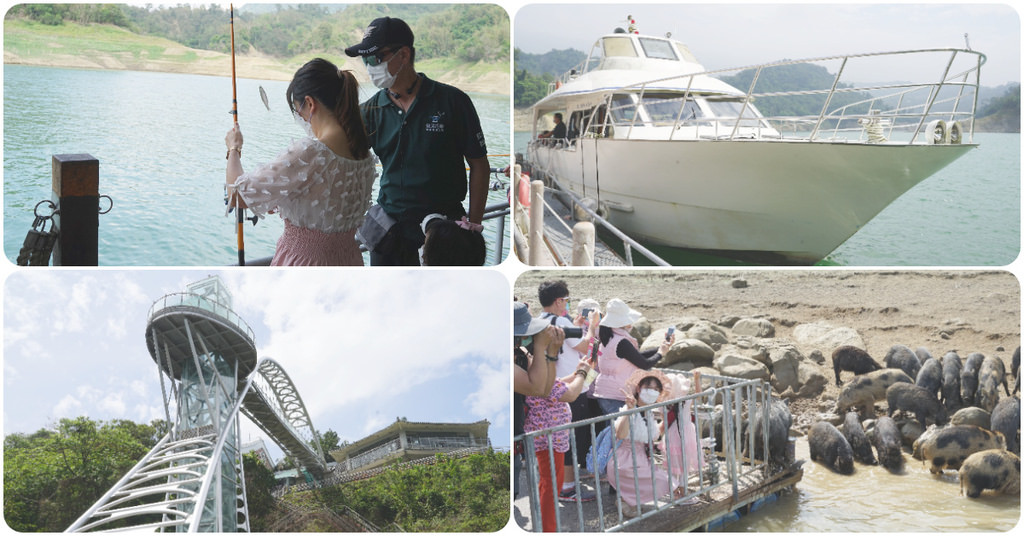 【台南激推親子景點】曾文水庫搭船趣 山豬島餵山豬 釣魚平台老鷹捕食秀