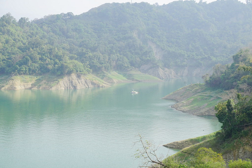 【台南激推親子景點】曾文水庫搭船趣 山豬島餵山豬 釣魚平台老鷹捕食秀