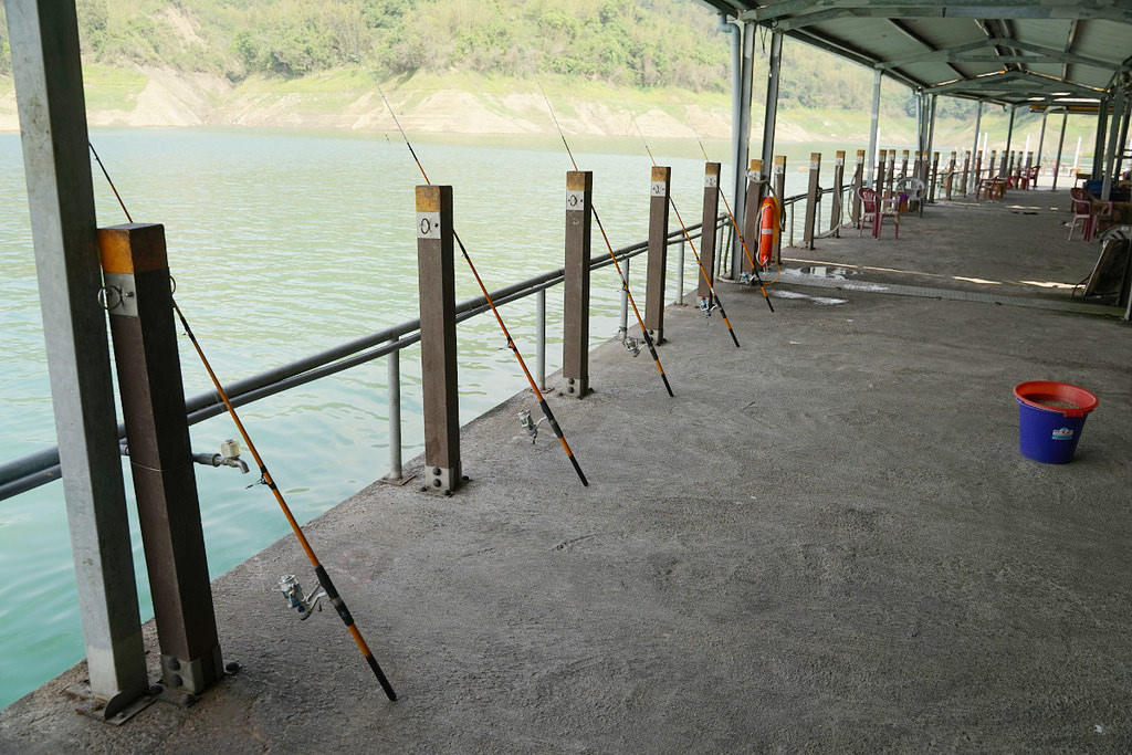 【台南激推親子景點】曾文水庫搭船趣 山豬島餵山豬 釣魚平台老鷹捕食秀