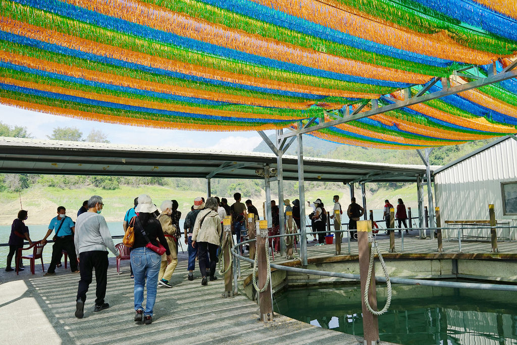 【台南激推親子景點】曾文水庫搭船趣 山豬島餵山豬 釣魚平台老鷹捕食秀