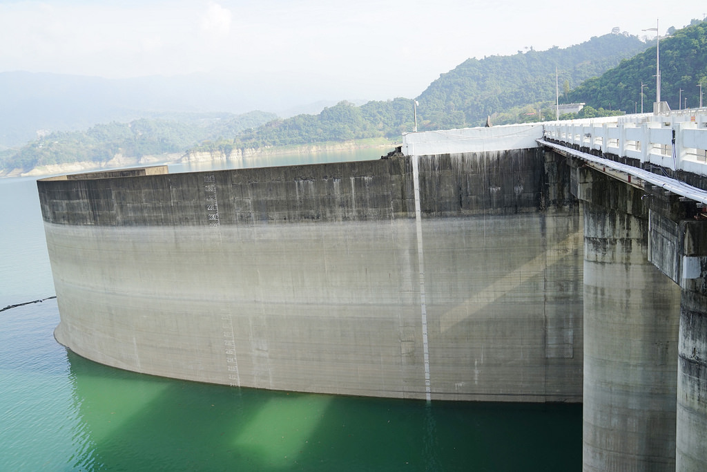 【台南激推親子景點】曾文水庫搭船趣 山豬島餵山豬 釣魚平台老鷹捕食秀