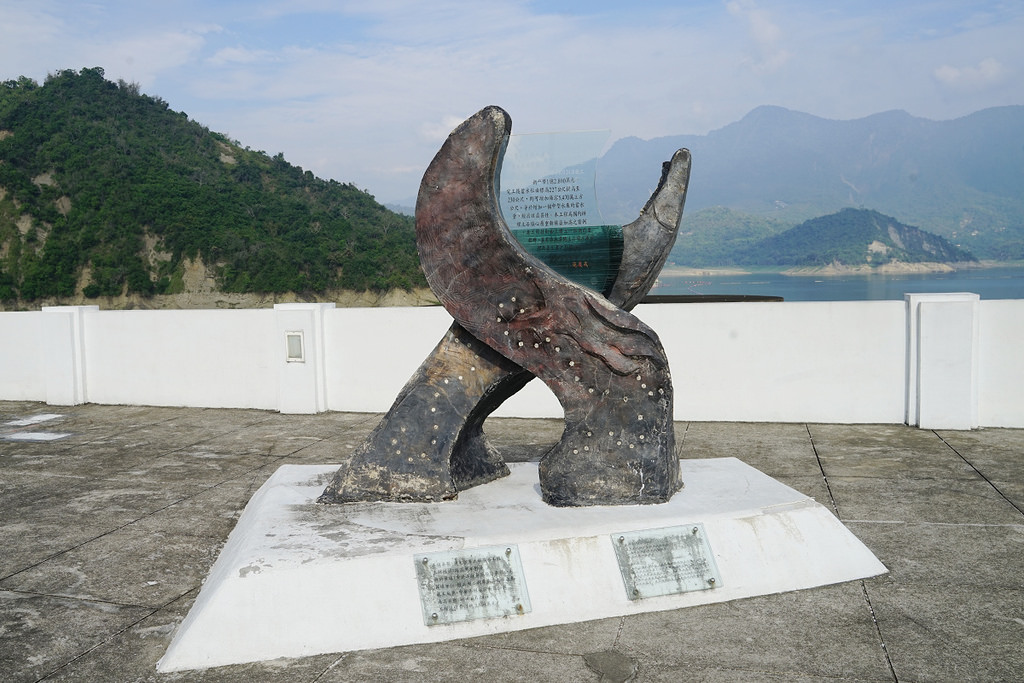 【台南激推親子景點】曾文水庫搭船趣 山豬島餵山豬 釣魚平台老鷹捕食秀