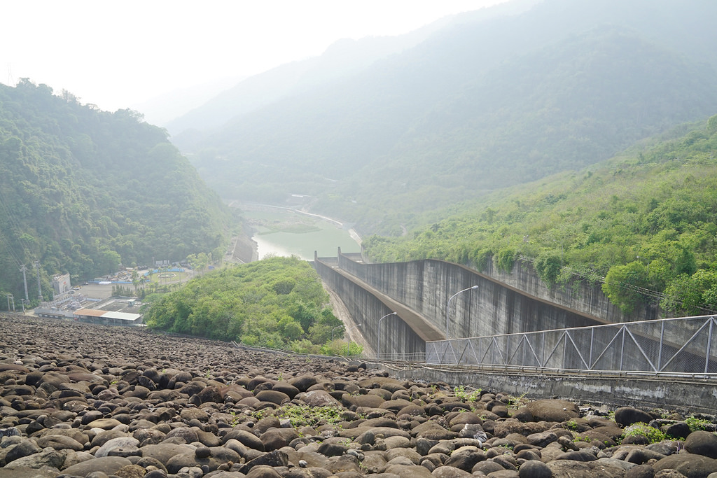 【台南激推親子景點】曾文水庫搭船趣 山豬島餵山豬 釣魚平台老鷹捕食秀