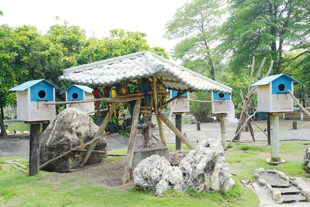 【台南親子景點推薦】南台灣最大野生動物園 玩整天都玩不夠 頑皮世界野生動物園