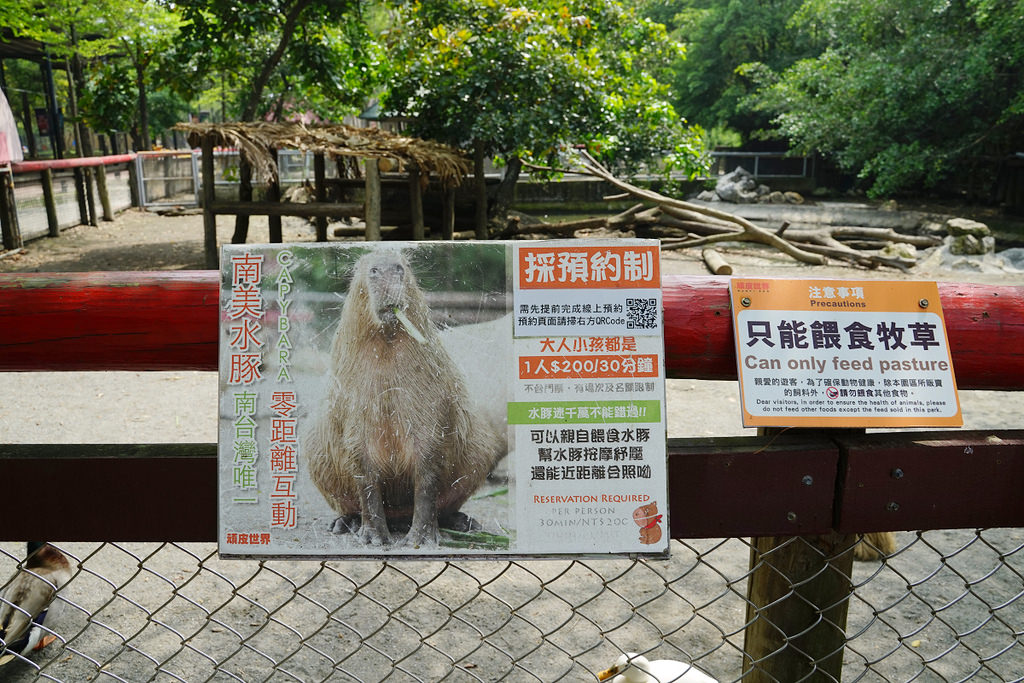 【台南親子景點推薦】南台灣最大野生動物園 玩整天都玩不夠 頑皮世界野生動物園