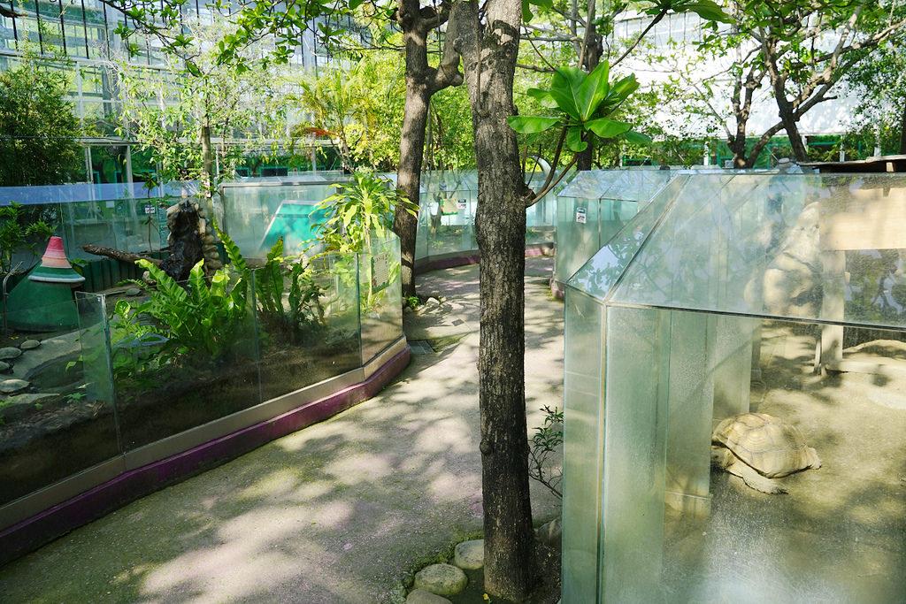 【台南親子景點推薦】南台灣最大野生動物園 玩整天都玩不夠 頑皮世界野生動物園