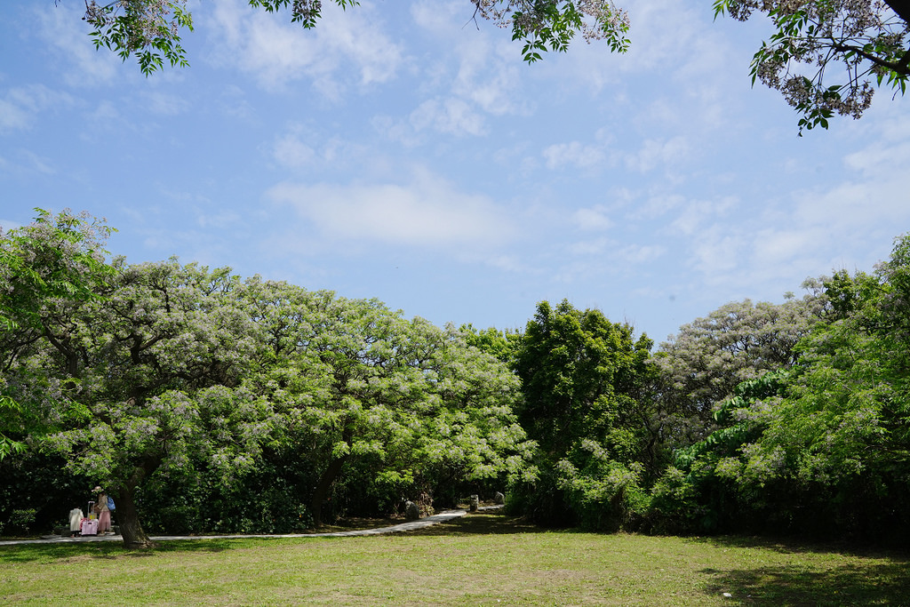 【桃園觀音免費景點推薦】保存最完整日治時期燈塔 地中海風格鐘塔廣場 白沙岬燈塔園區