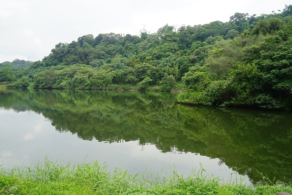 【桃園龍潭免費景點推薦】炙炙夏日玩水好去處 三坑鐵馬自行車道 三坑自然生態公園