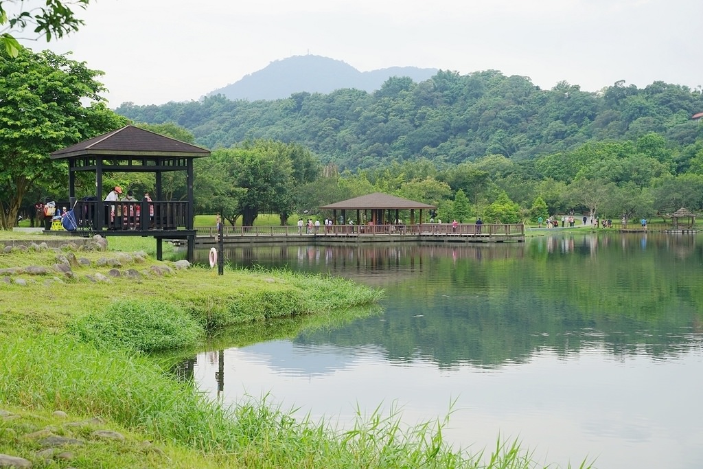 【桃園龍潭免費景點推薦】炙炙夏日玩水好去處 三坑鐵馬自行車道 三坑自然生態公園