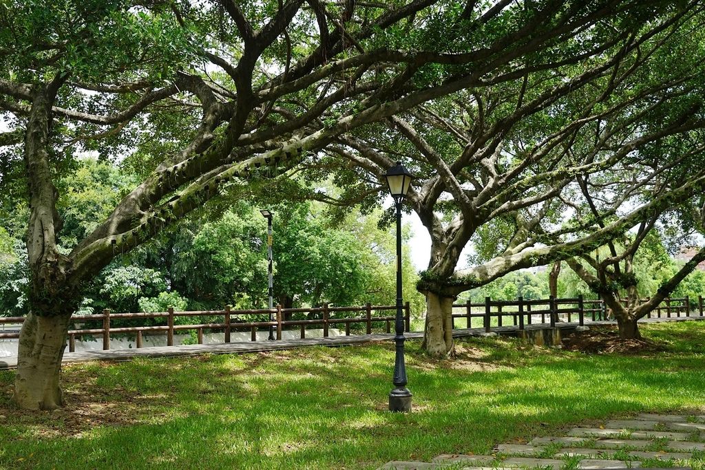 【中壢親子公園推薦】30年歷史忠福公園大變身 土丘滑梯/旋轉陀螺 中壢藝術園區