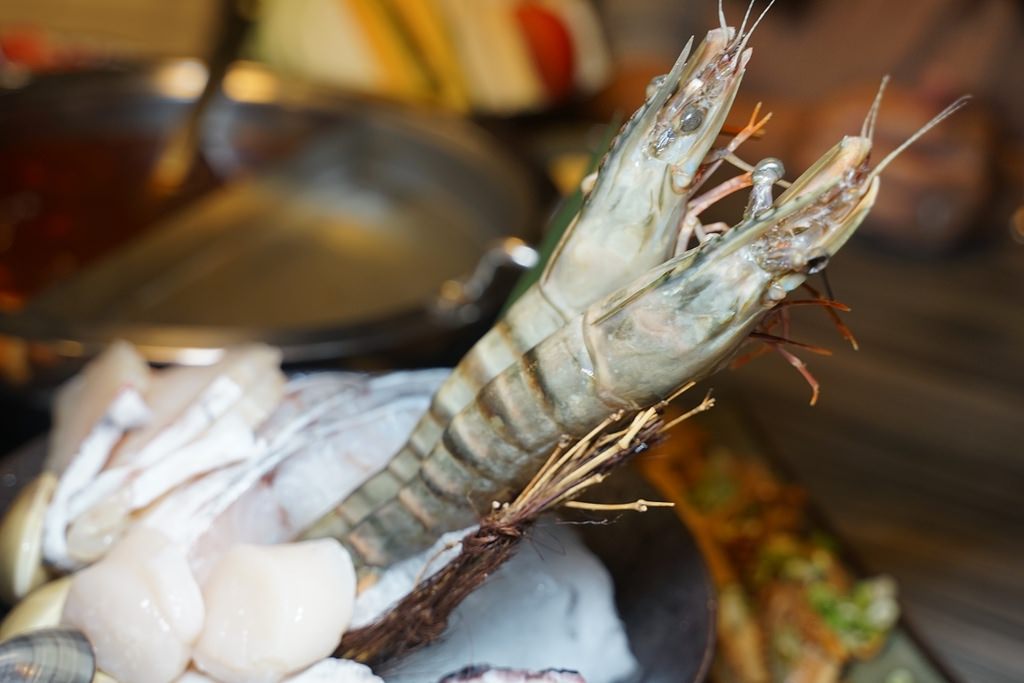 【金門模範街美食推薦】豪華雙人頂級海陸套餐麻辣鴛鴦鍋 美味海鮮肉品燒烤 六合極品海鮮鍋物專門店