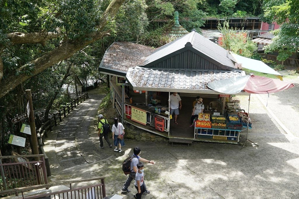 【桃園玩水好去處】唯一合法溪流戲水區正式開放 一票玩到底還有天空步道/風動石/天空繩橋/龍鳳瀑布 小烏來風景特定區宇內溪戲水區