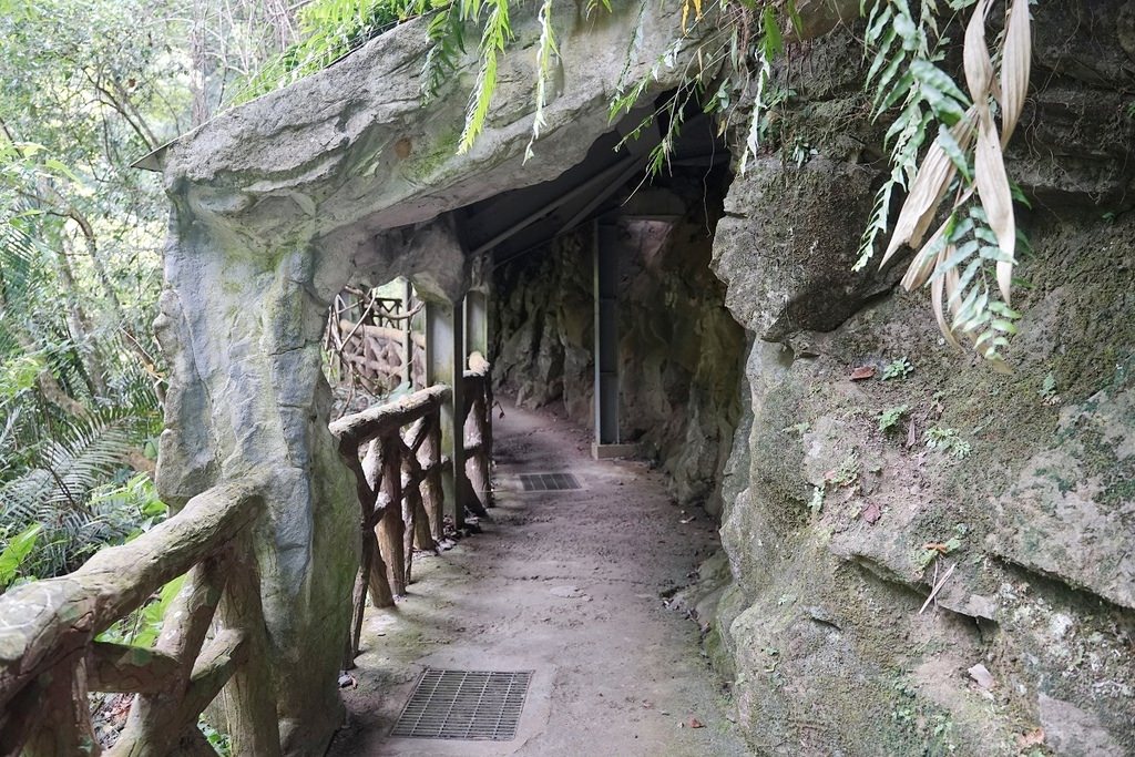 【桃園玩水好去處】唯一合法溪流戲水區正式開放 一票玩到底還有天空步道/風動石/天空繩橋/龍鳳瀑布 小烏來風景特定區宇內溪戲水區