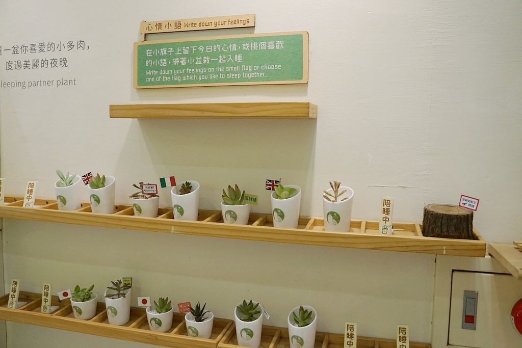 【台中逢甲親子住宿推薦】陪睡小盆栽+蟲鳴樹屋兒童遊戲區 微出國角色扮演 台中逢甲葉綠宿旅館