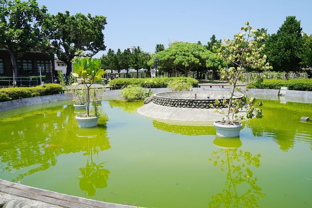 【花蓮免費景點推薦】亞洲最大海洋深層水園區 深足癒步道/台肥構內社/海角防空洞 D Park 台肥海洋深層水園區